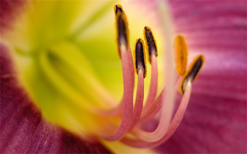 中国法定节假日，中国的法定节日有哪些